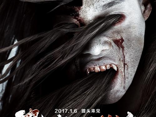 购买伪造的法国驾驶执照